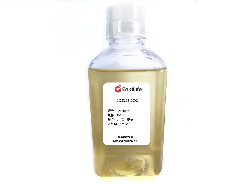 293無(wú)血清培養(yǎng)基
