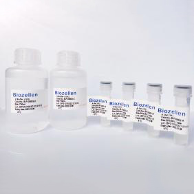 3D細(xì)胞、類(lèi)器官培養(yǎng)試劑